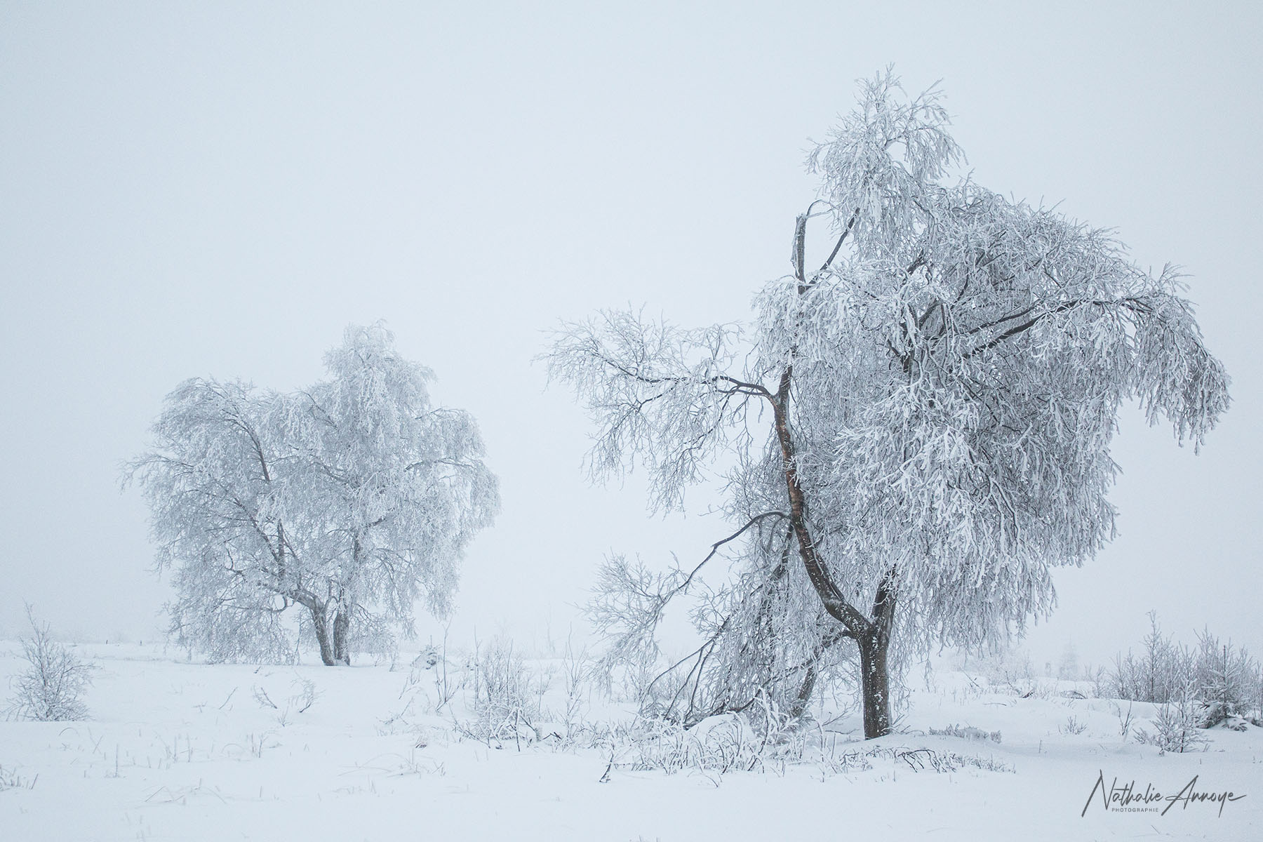 première neige