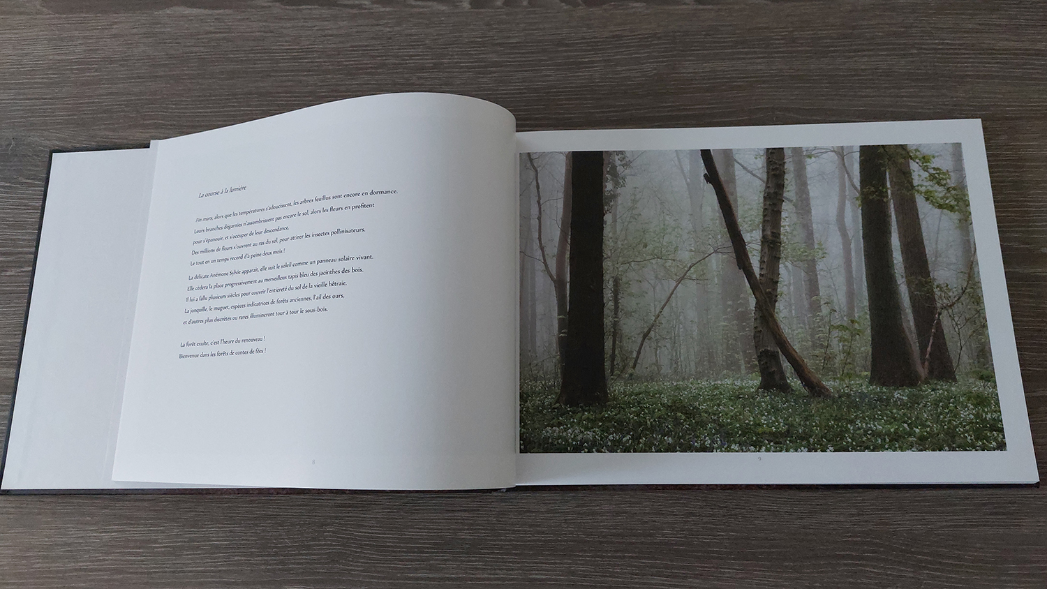 Forêts anciennes, forêts enchantées – Image 4